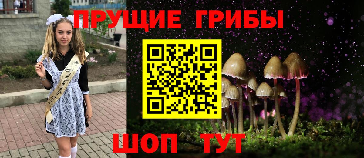 Псилоцибиновые грибы мухоморы  Вход с VPN  Саранск  Галлюциногенные грибы мицелий 